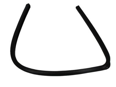 Dodge 55359442AD SEAL Rear Door Glass