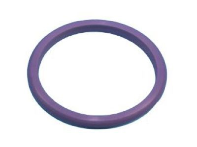 Ram 68211451AA O RING