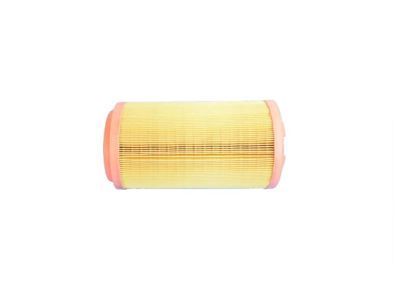 Ram 52022424AA Air Filter