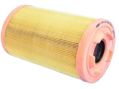 Ram 52022424AA Air Filter