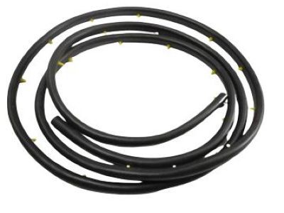 Dodge Ram Wagon Door Seal - 55346677AI