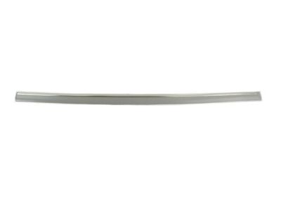 Dodge 5179256AA MOLDING Front Door