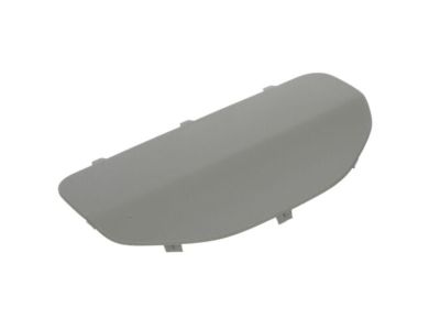 Dodge 1VV31BD3AA COVER Access Door Trim