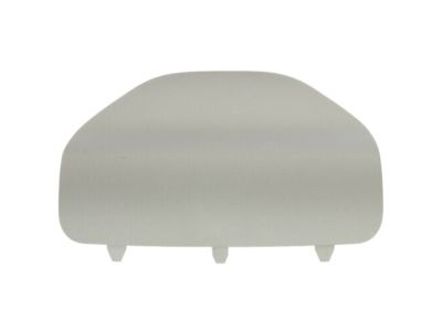 Dodge 1VV31BD3AA COVER Access Door Trim