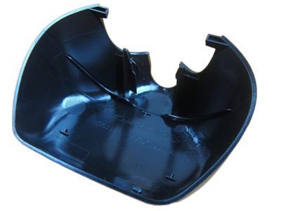 Ram 1YW11DX9AA COVER Mirror
