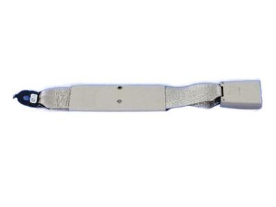 Ram 1XE661L1AA BUCKLE ASSY BUCKLE ASSY-S/BELT Lap, Center