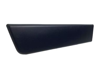 Ram 1ZT29JXWAB Body Side Molding
