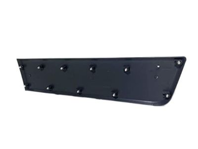 Ram 1ZT29JXWAB Body Side Molding