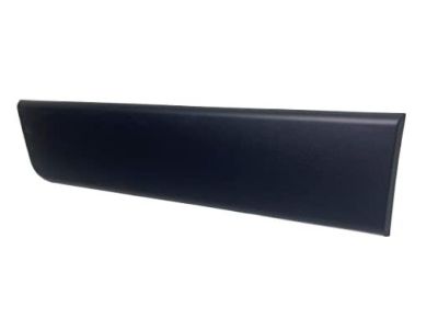 Ram 1ZT29JXWAB Body Side Molding