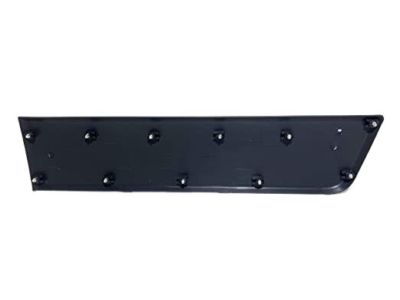 Ram 1ZT29JXWAB Body Side Molding