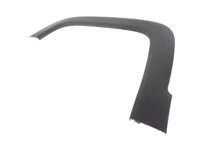 Mopar 6TB75LXHAA Wheel Opening Molding, Front Driver Side