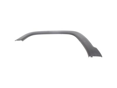 Mopar 6TB75LXHAA Wheel Opening Molding, Front Driver Side