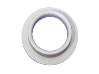 Ram 68055318AB SHIELD Dust