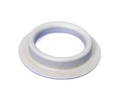 Ram 68055318AB SHIELD Dust