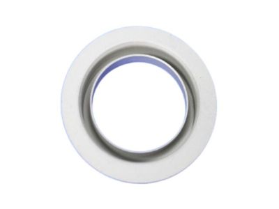 Ram 68055318AB SHIELD Dust