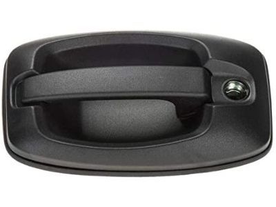 Ram 5RJ95JXWAB HANDLE Exterior Door