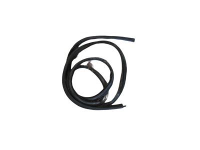 Dodge Caravan Weather Strip - 4717327