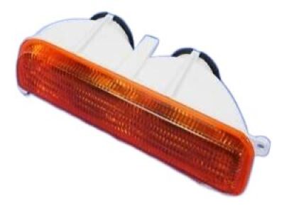 Jeep 55055143 LAMP Park and Turn Signal