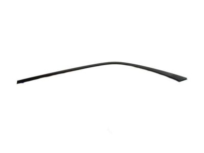 Chrysler 68224371AF MOLDING Day Light Opening Rear Door