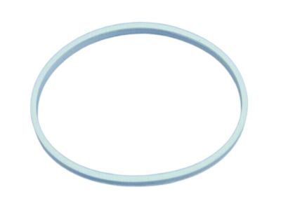 Dodge 4591873AA GASKET Throttle Body