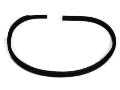 Dodge 55277035AB SEAL Body Side