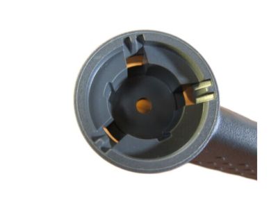 Dodge 1DQ641DAAA HANDLE Lumbar