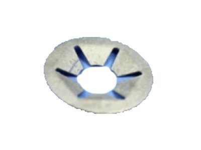 Ram 6034990 NUT Spring