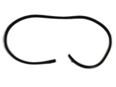 Dodge 5076863AG WEATHERSTRIP Front Door Opening Body Mounted