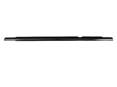 Chrysler Pacifica Door Seal - 5054119AG