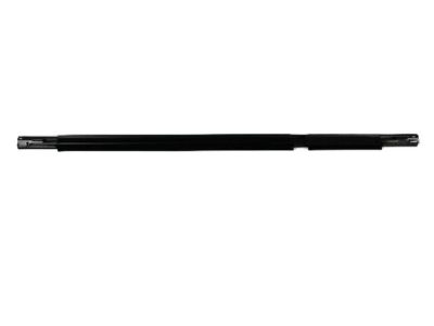 Chrysler 5054119AG WEATHERSTRIP Rear Door Belt Outer