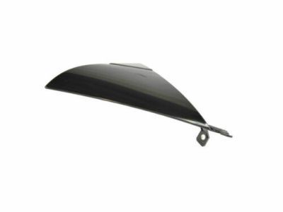 Ram 5YF69MX5AA APPLIQUE MIRROR FLAG