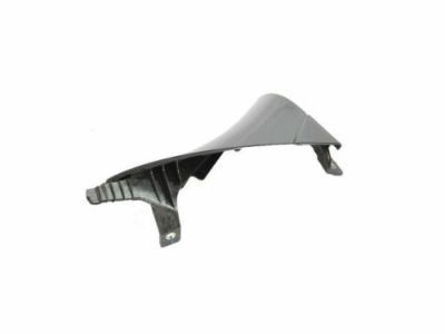 Ram 5YF69MX5AA APPLIQUE MIRROR FLAG