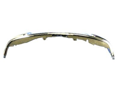Mopar 55079111AE Grille, Front