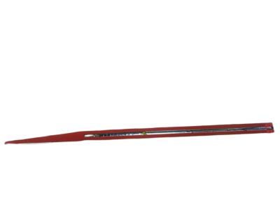 Ram 68247504AD MOLDING Front Door