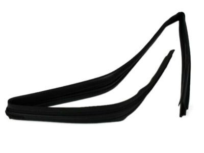 Jeep 55399190AH Glass Run