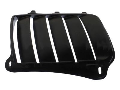 Dodge 68260187AA BEZEL Hood