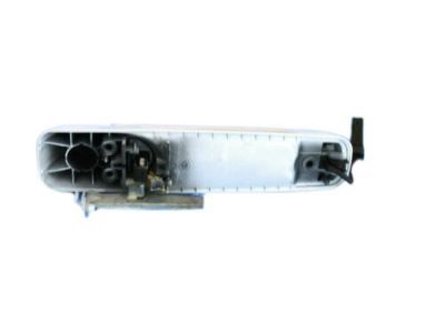 Ram 1UJ86GW7AI HANDLE Exterior Door