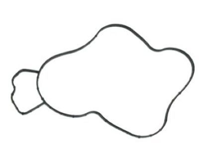 Dodge 68165890AA Water Pump Gasket