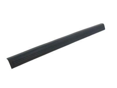 Dodge 1FS99XDVAC PLATE Scuff
