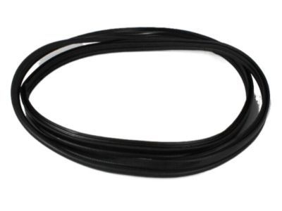 2004 Chrysler Concorde Weather Strip - 4575226AB