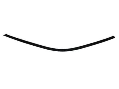 Mopar 57010504AE Molding Front Door