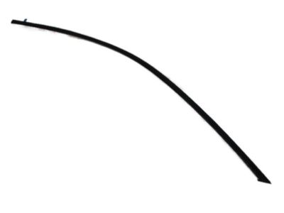 Mopar 57010504AE Molding Front Door