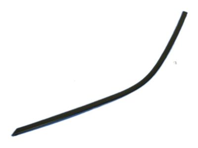 Mopar 57010504AE Molding Front Door