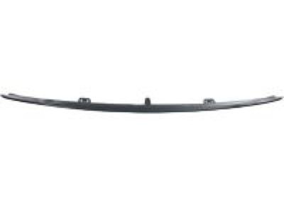 2006 Dodge Magnum Door Moldings - WG21ARHAC