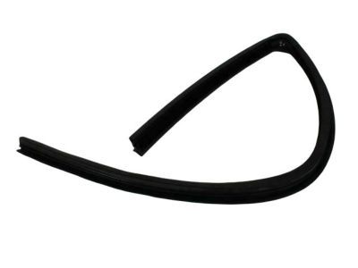 Dodge Ram 3500 Weather Strip - 55276165AF