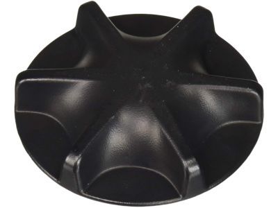Dodge ZN27XXXAA HANDLE Lumbar