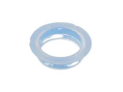 Mopar 68195848AA Retainer Ring, Rear