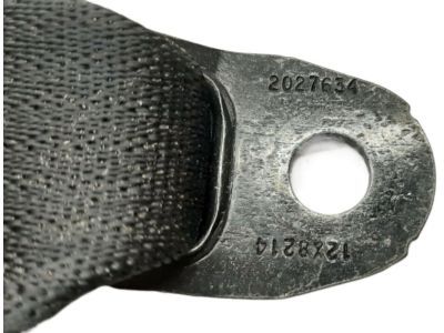 Mopar 5UZ21DX9AC Outer Belt Assembly, Black, Rear Driver Side