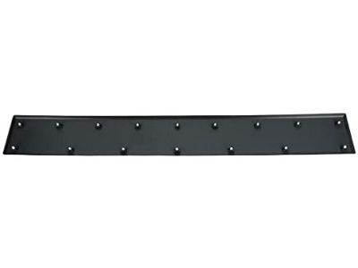 Ram 1ZT46LAHAA Body Side Molding