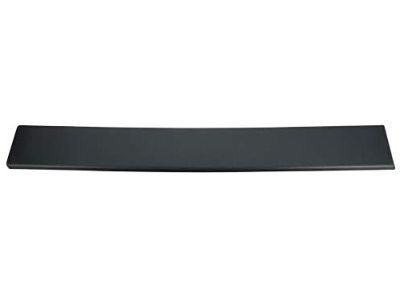Ram 1ZT46LAHAA Body Side Molding